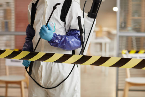 Professional Biohazard technician working in Pointblank, TX